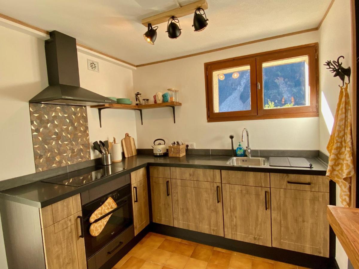 Apartament La Petite Cascade, Venosc - Les 2 Alpes Zewnętrze zdjęcie